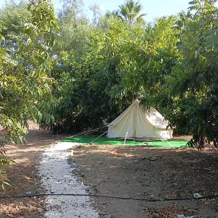 Jardin De Karlitos *